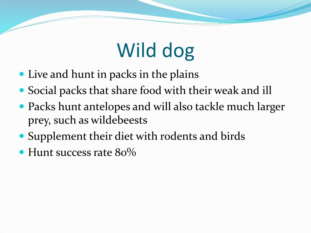 wild dog 1