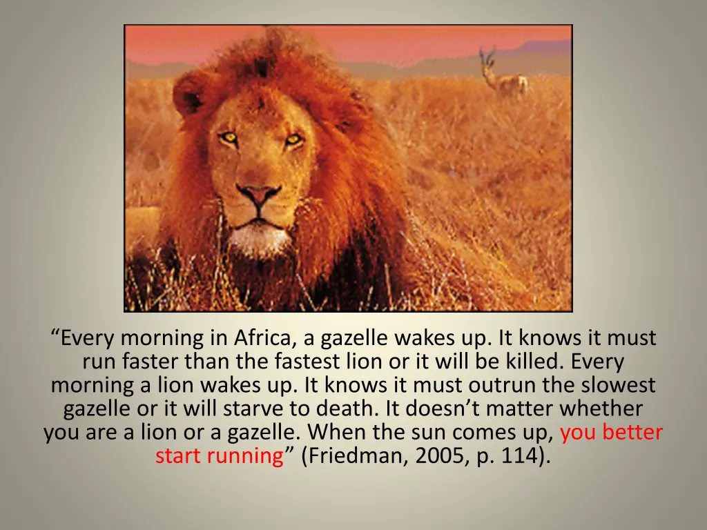 every morning in africa a gazelle wakes