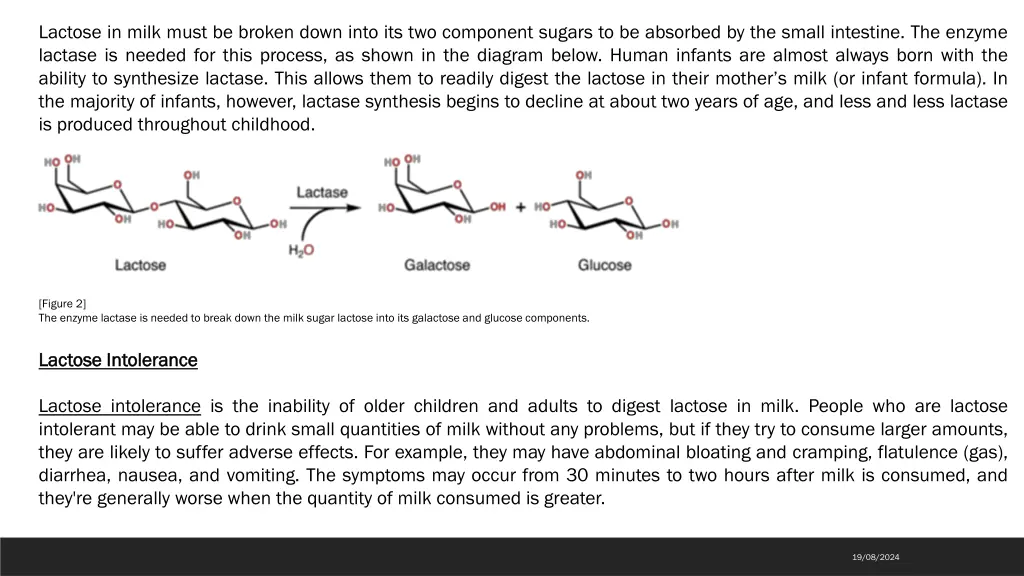 lactose in milk must be broken down into