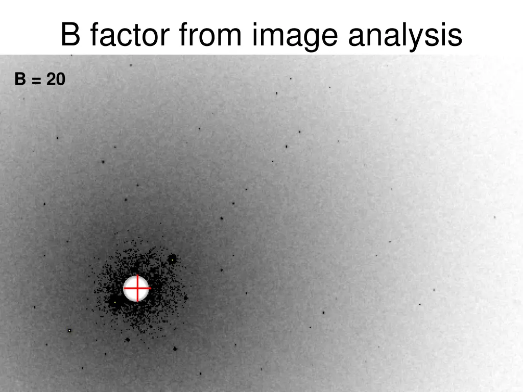 b factor from image analysis 1