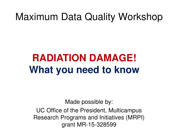 maximum data quality workshop