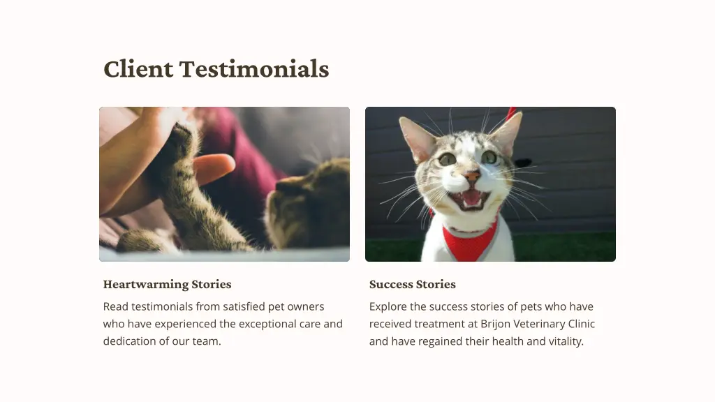 client testimonials