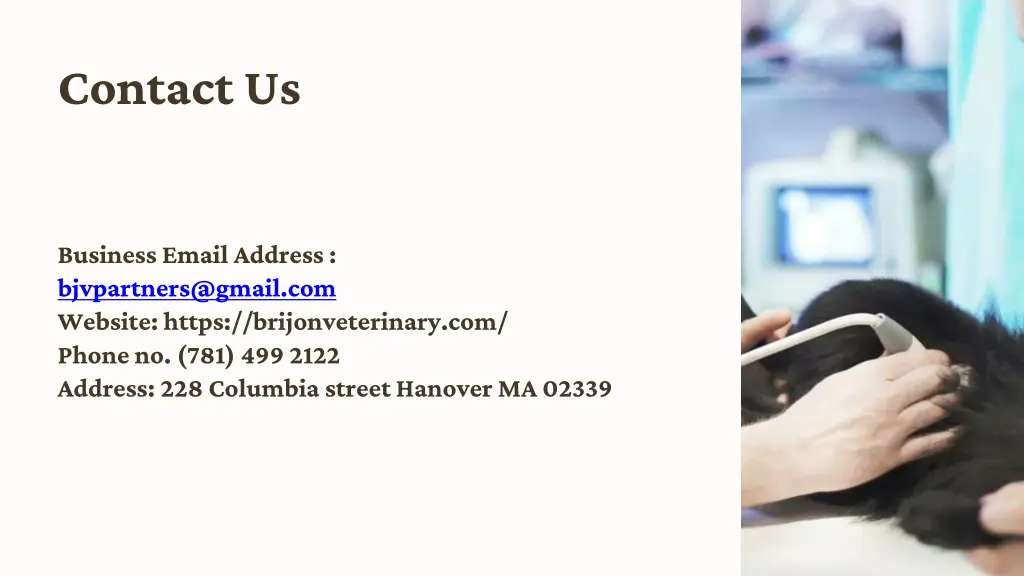 contact us