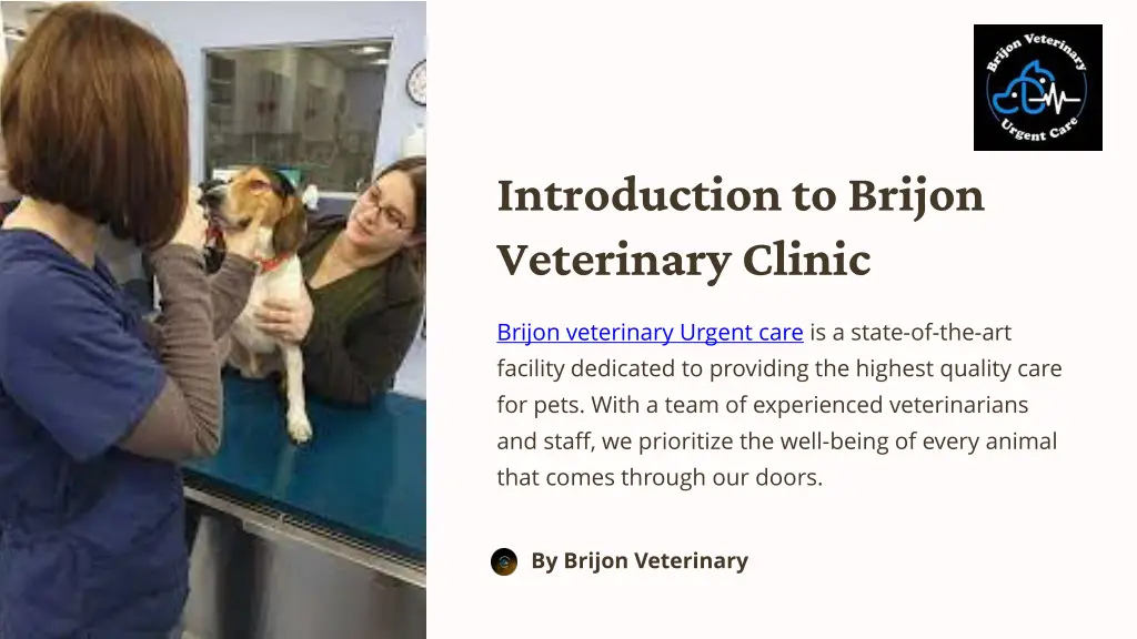 introduction to brijon veterinary clinic