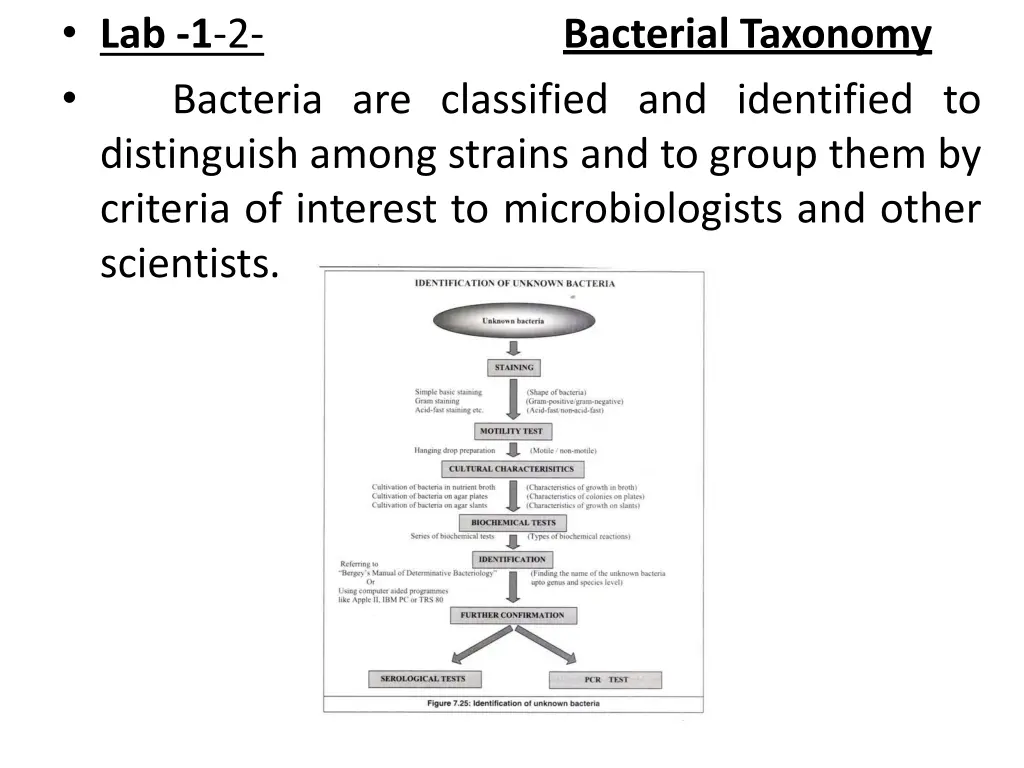 lab 1 2 distinguish among strains and to group