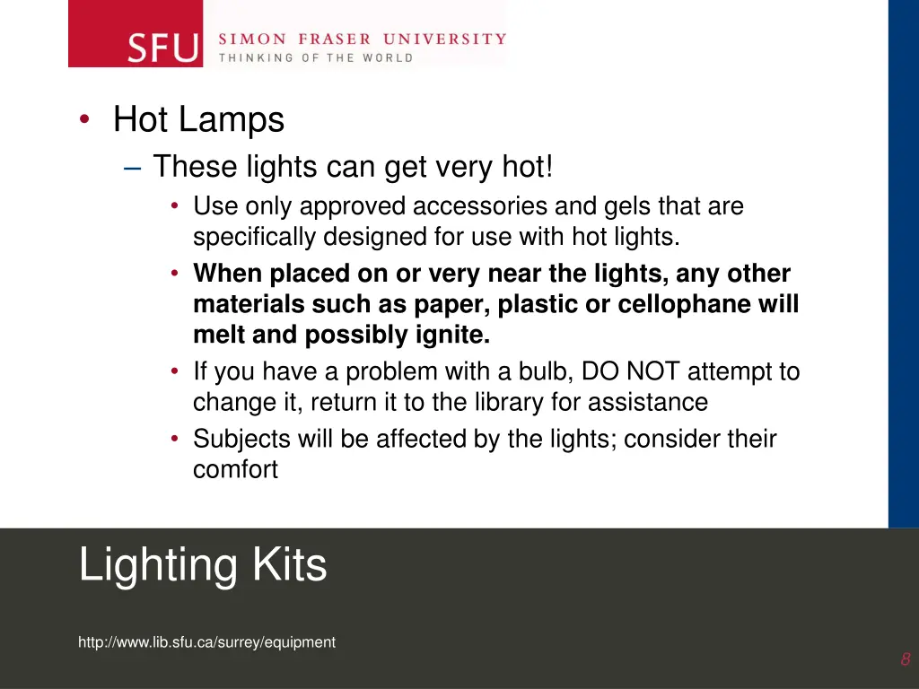 hot lamps these lights can get very hot use only