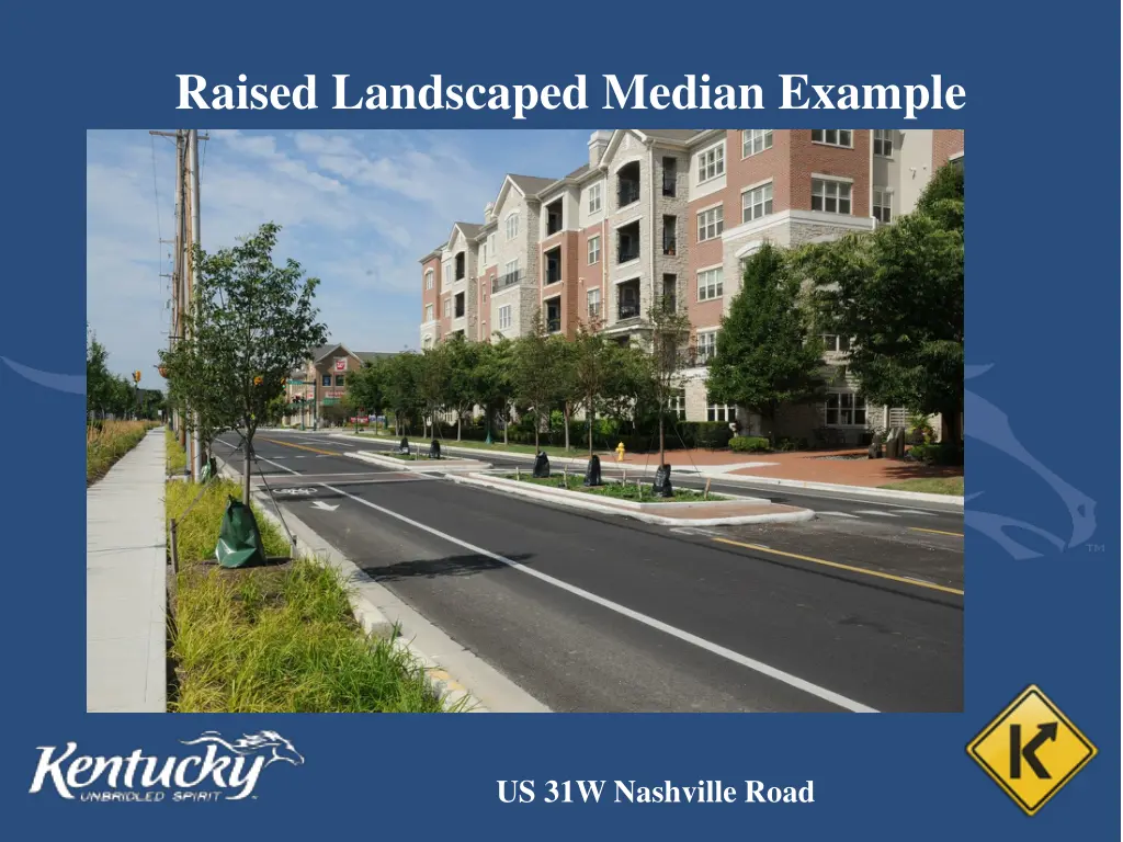 raised landscaped median example