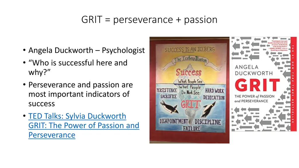 grit perseverance passion