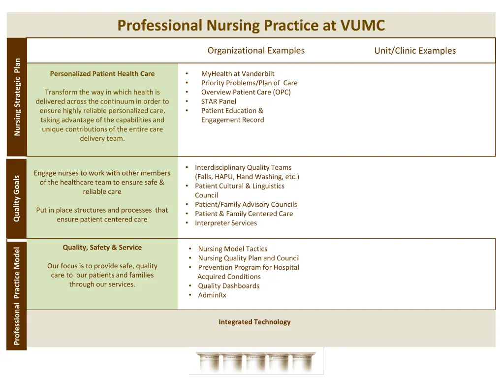 professional nursing practice at vumc 1