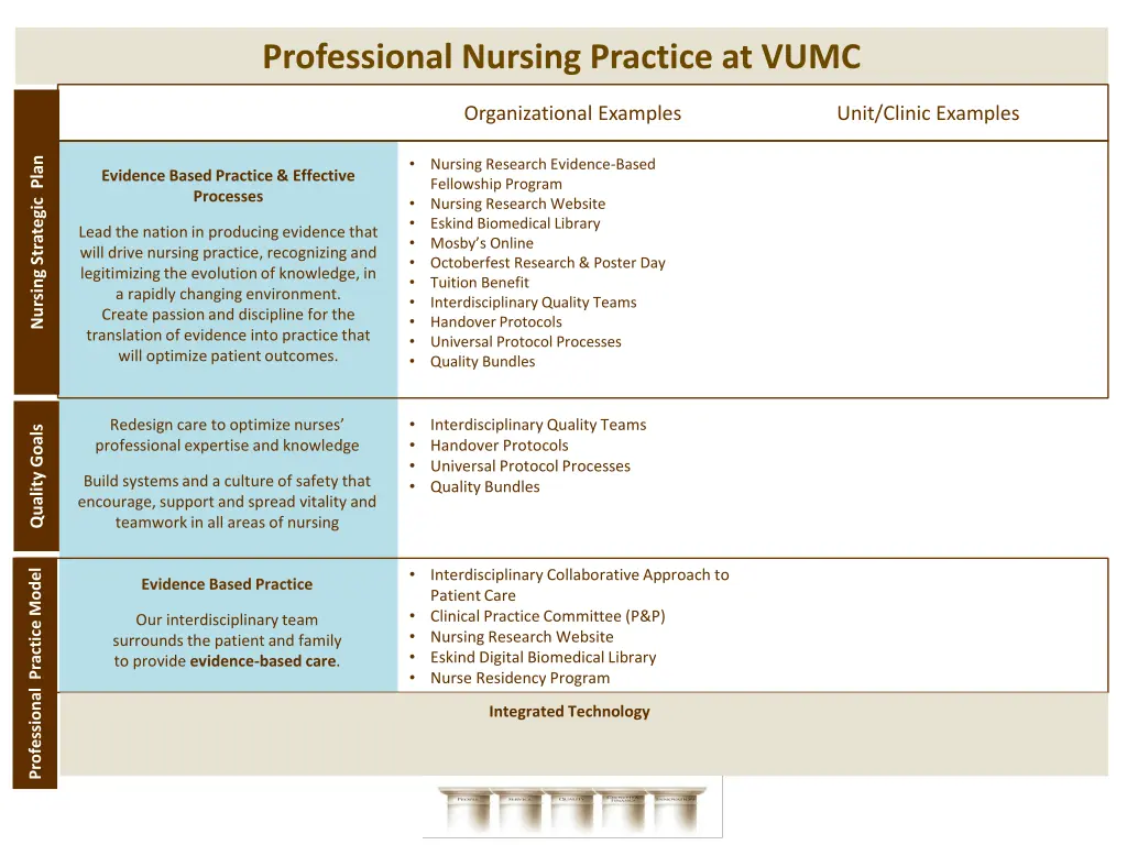 professional nursing practice at vumc 2