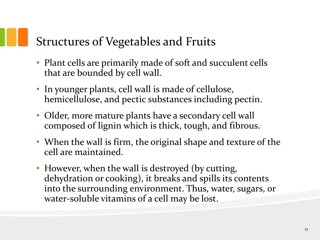 structures of vegetables and fruits 1