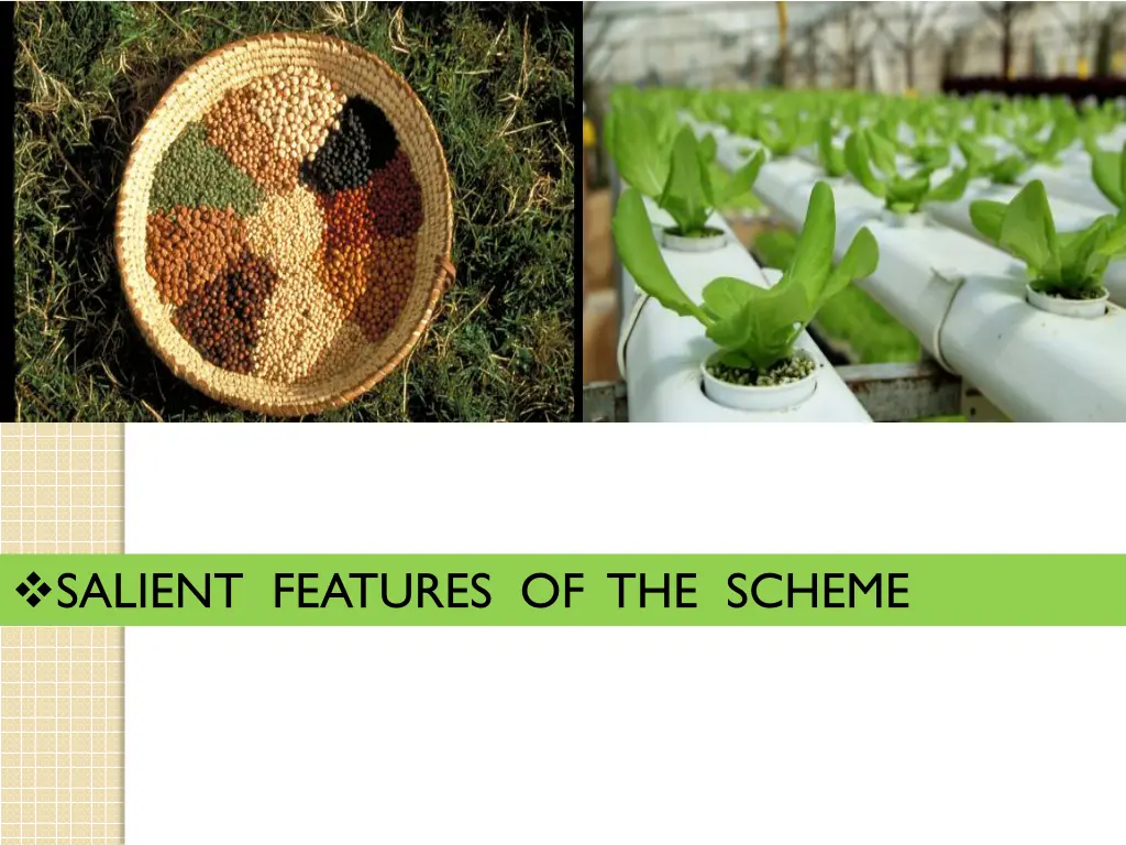 salient features of the scheme