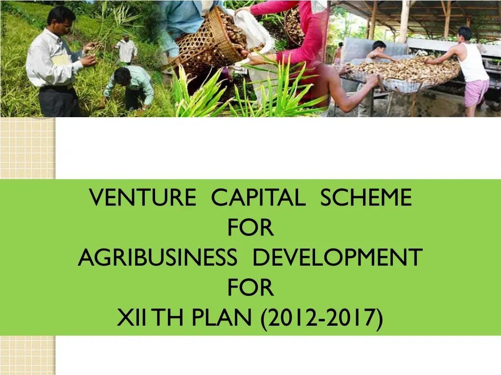 venture capital scheme for agribusiness