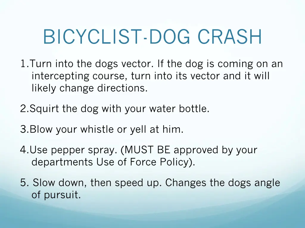 bicyclist dog crash