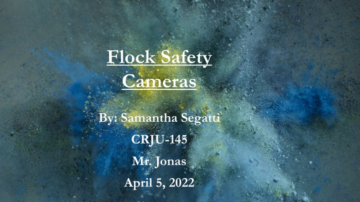 flock safety cameras