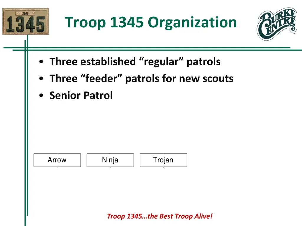 troop 1345 organization