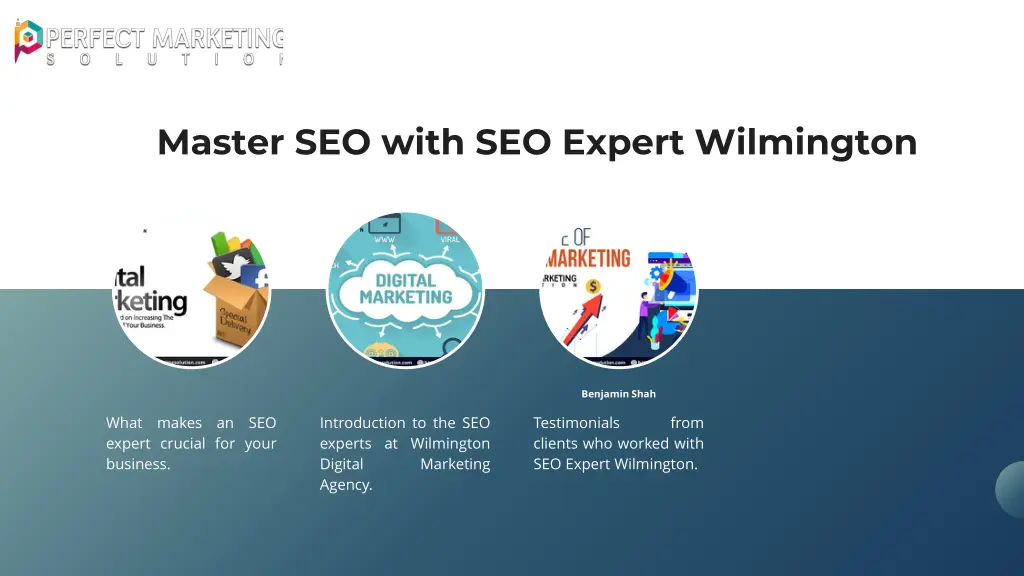 master seo with seo expert wilmington