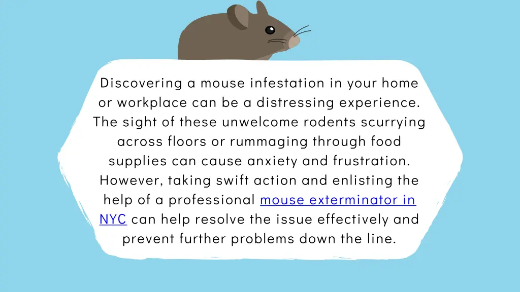 discovering a mouse infestation in your home