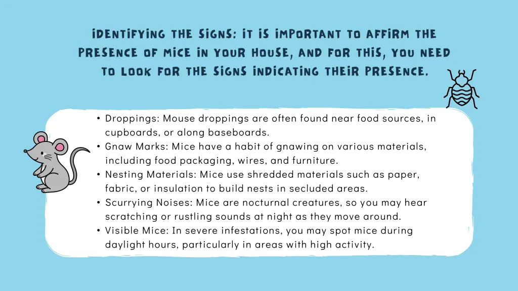 droppings mouse droppings are often found near