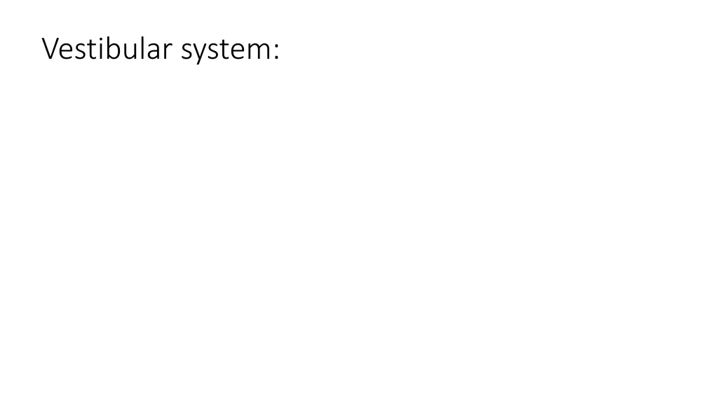 vestibular system