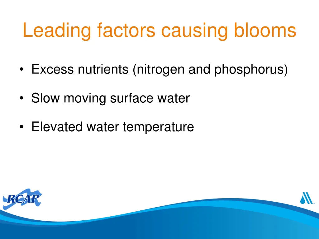 leading factors causing blooms