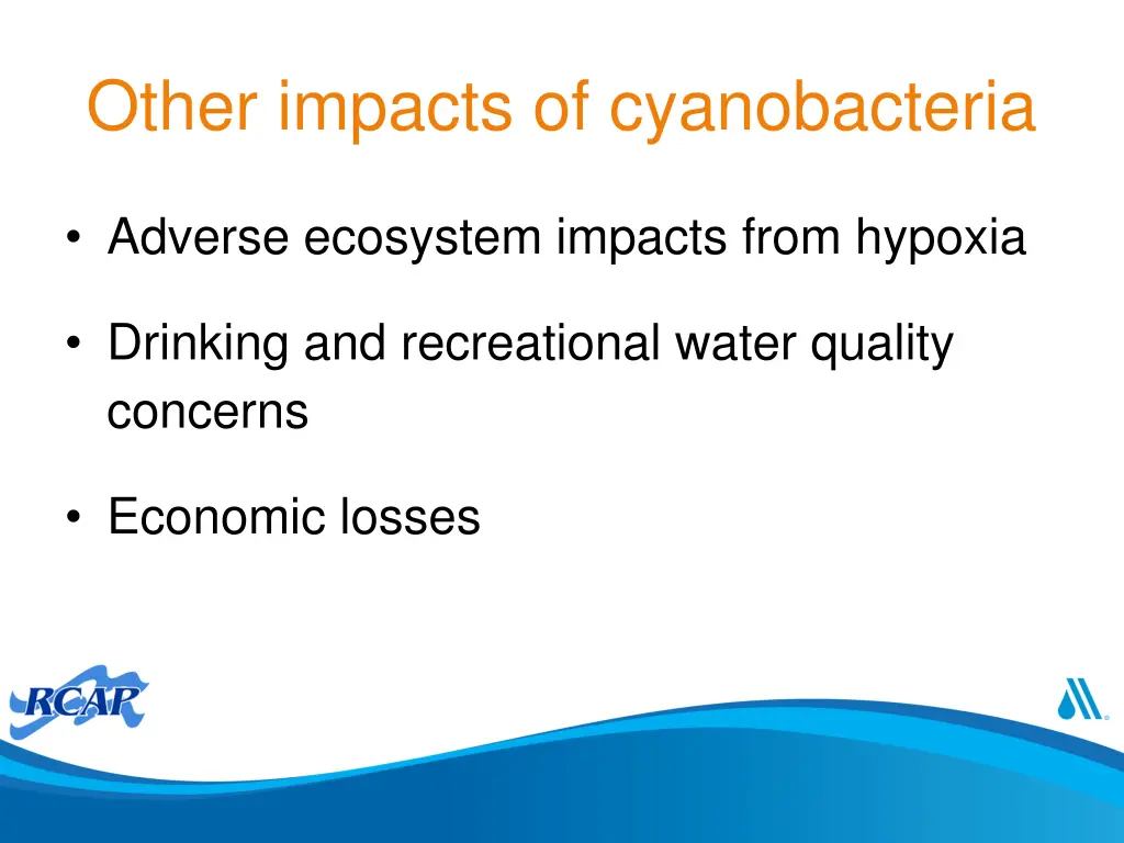 other impacts of cyanobacteria