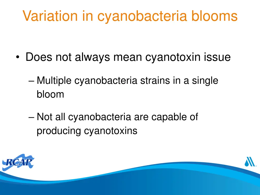 variation in cyanobacteria blooms