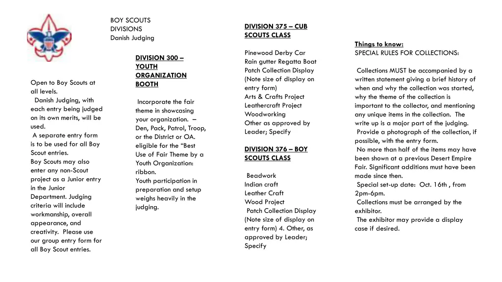boy scouts divisions danish judging