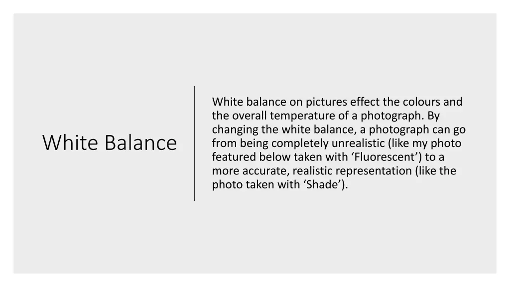 white balance on pictures effect the colours