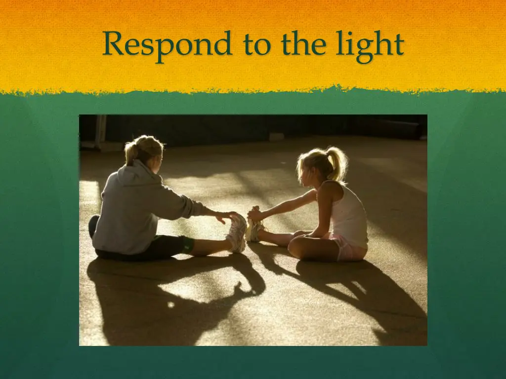 respond to the light