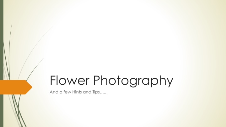 flower photography and a few hints and tips