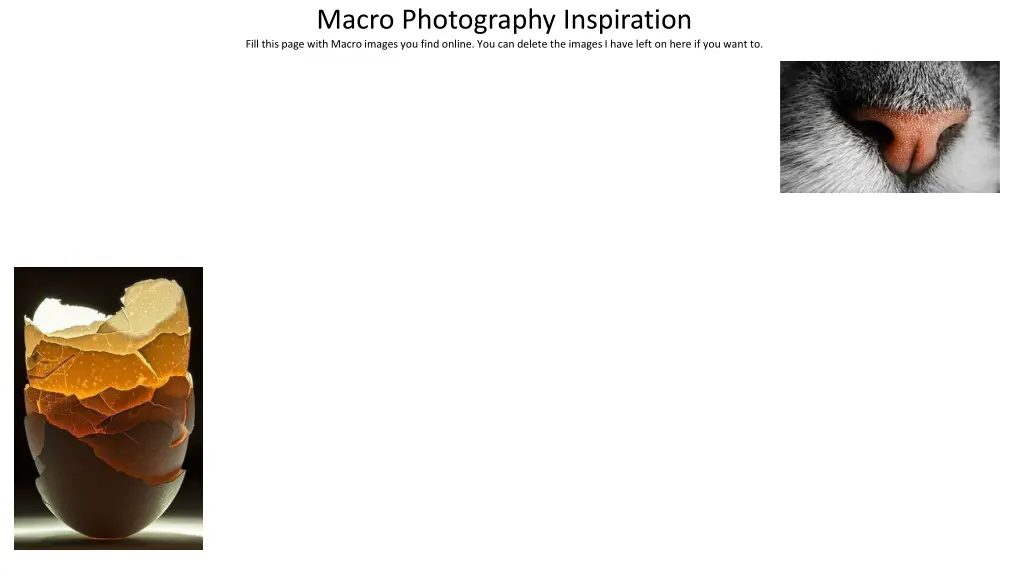 macro photography inspiration fill this page with