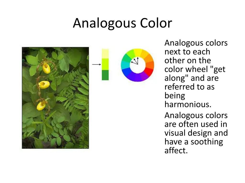 analogous color