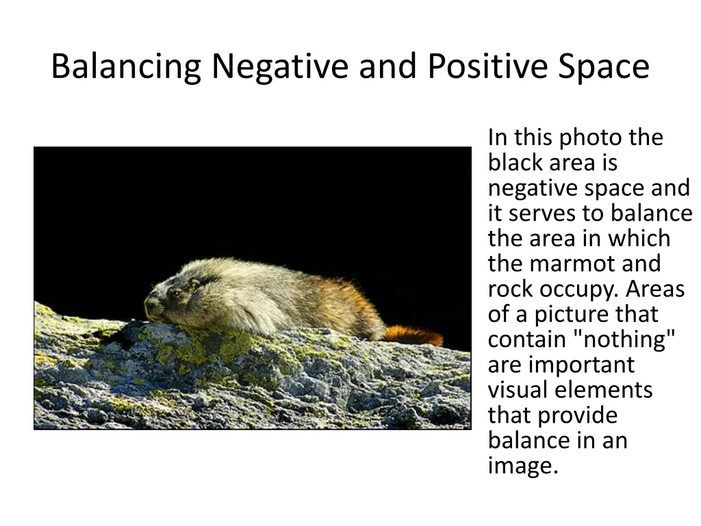 balancing negative and positive space