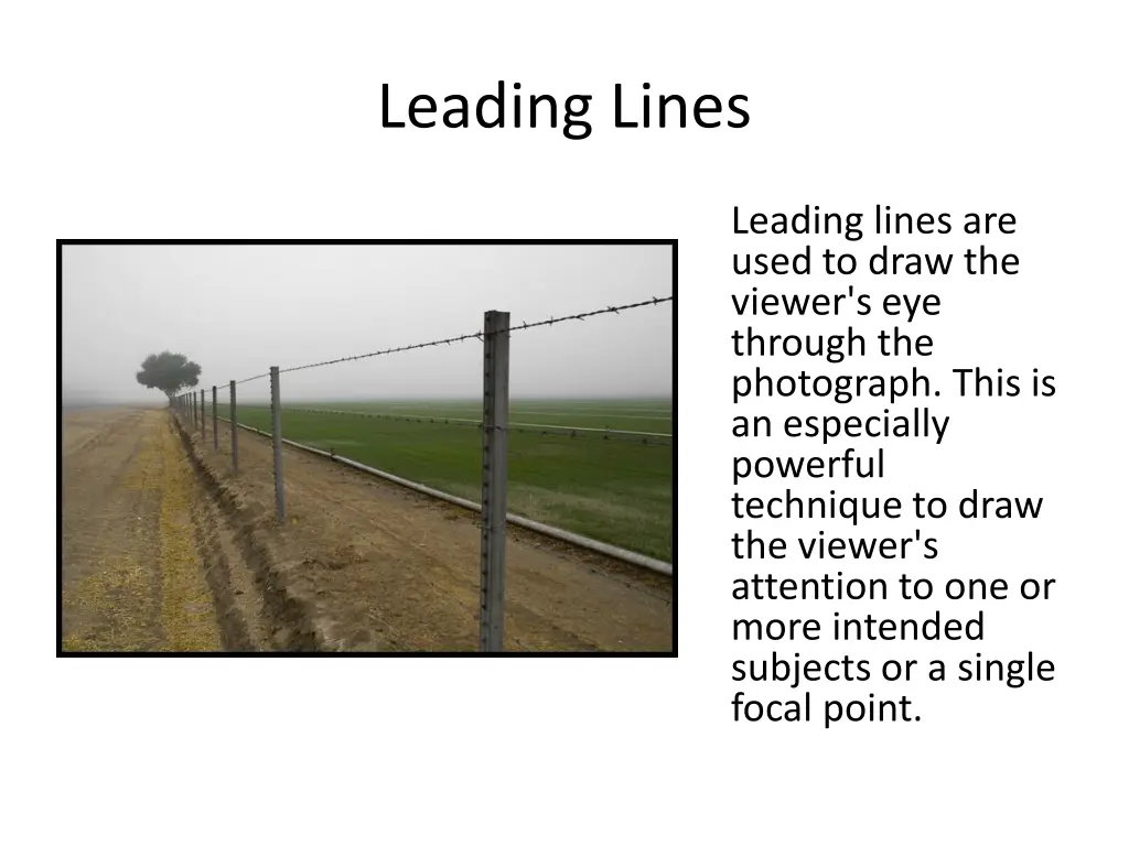 leading lines