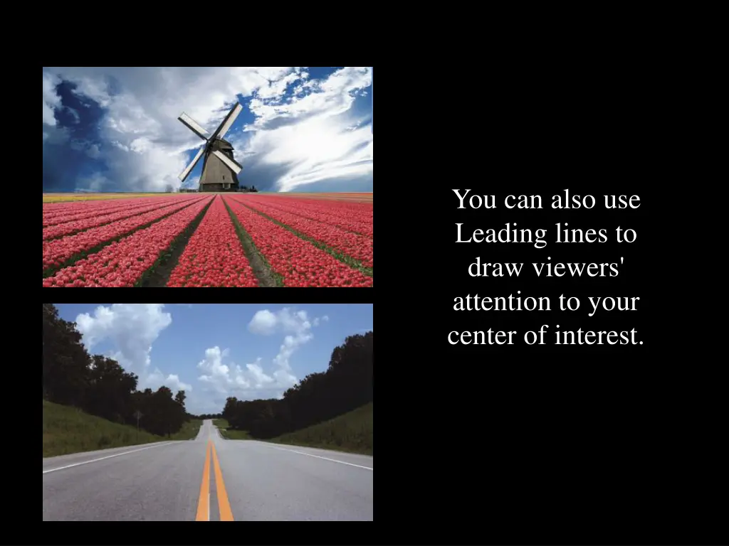 you can also use leading lines to draw viewers