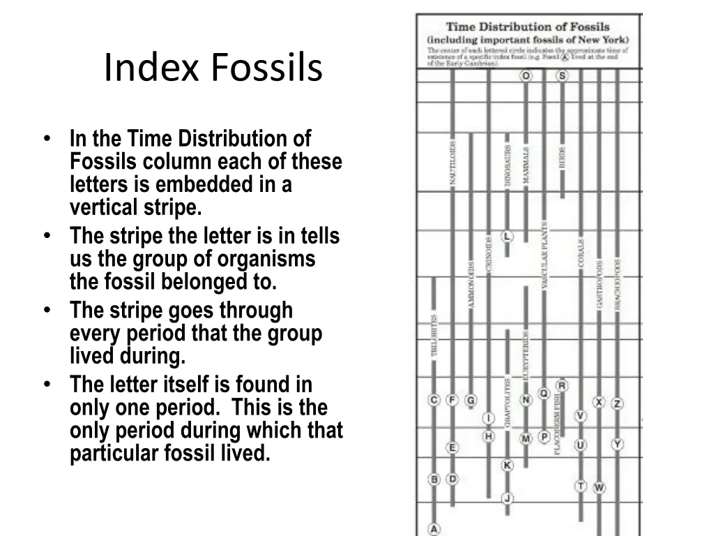 index fossils