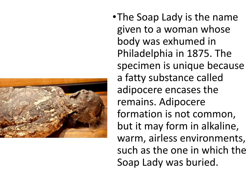 the soap lady is the name given to a woman whose