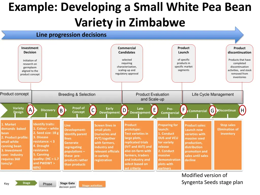 example developing a small white pea bean variety