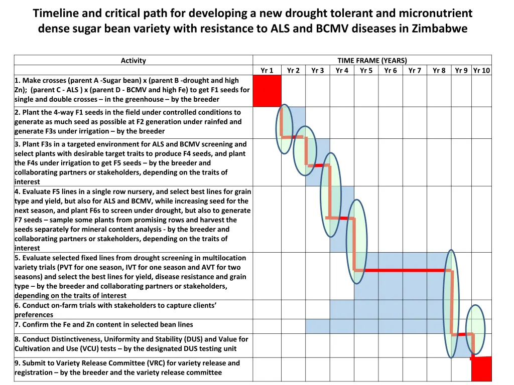 timeline and critical path for developing