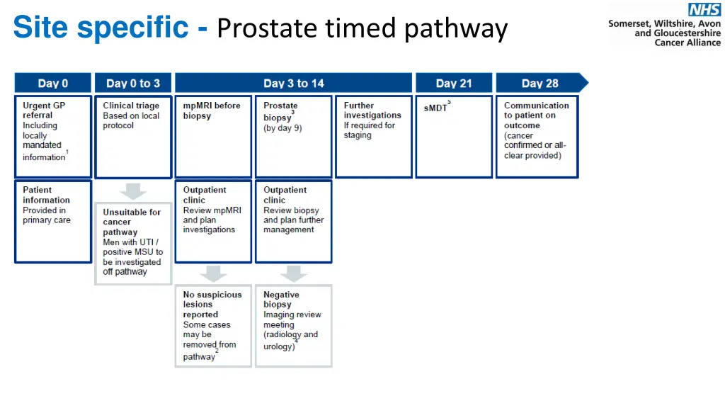 site specific prostate timed pathway