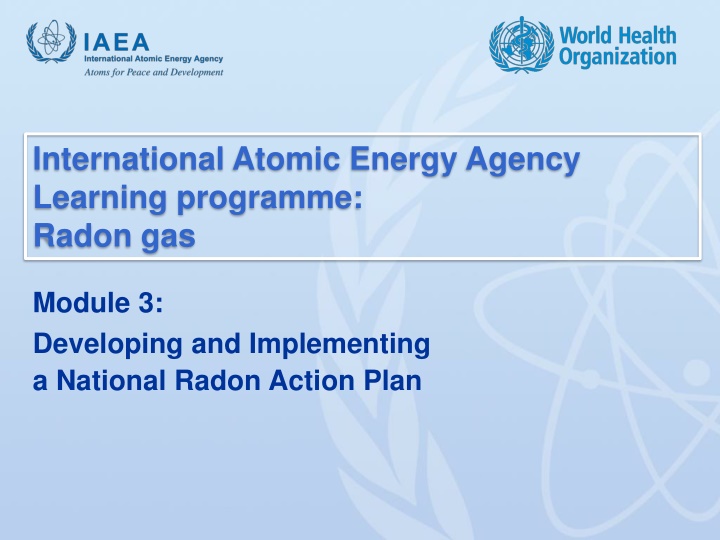 international atomic energy agency learning