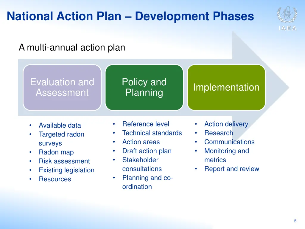 national action plan development phases