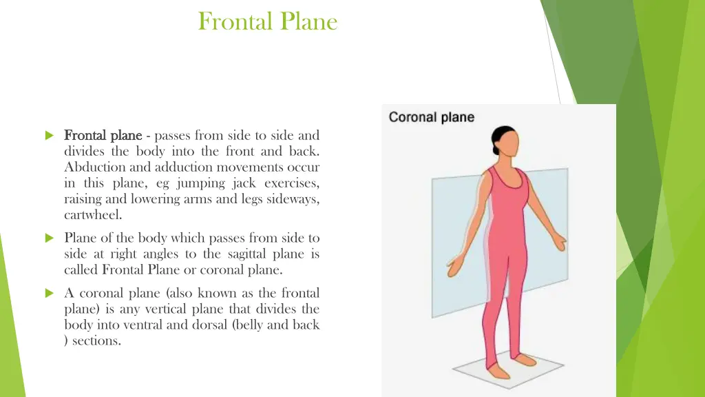 frontal plane