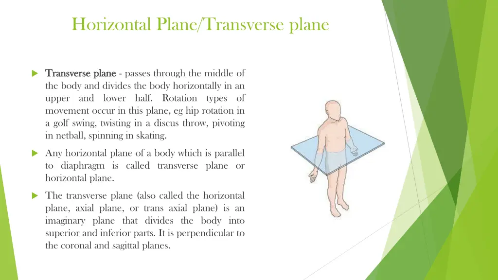 horizontal plane transverse plane