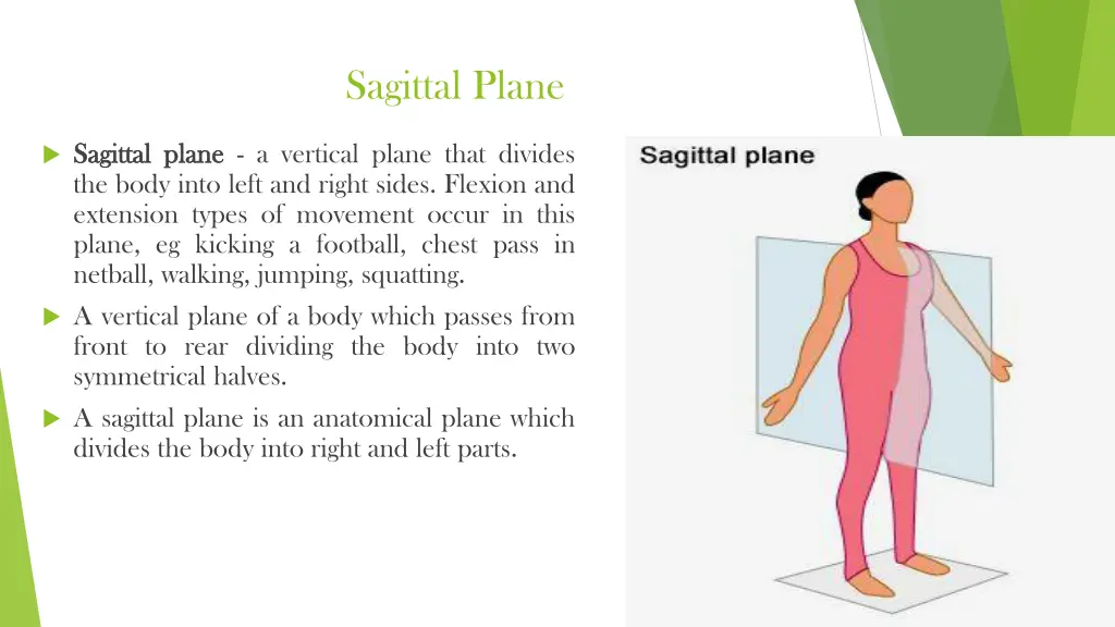 sagittal plane