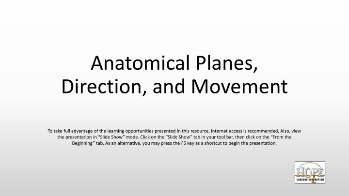 anatomical planes direction and movement