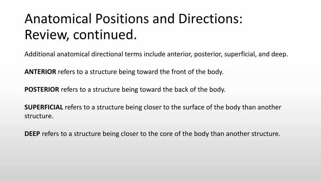 anatomical positions and directions review 1