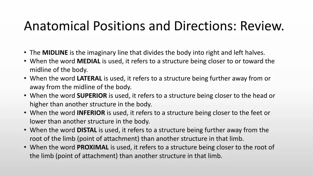 anatomical positions and directions review