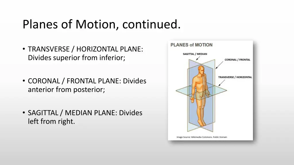 planes of motion continued